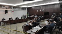 Projeto que dispõe sobre Práticas Integrativas e Complementares em Saúde é aprovado na Câmara de João Monlevade