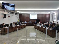 Vereadores aprovam projeto que reconhece poema como símbolo do município